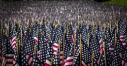 america